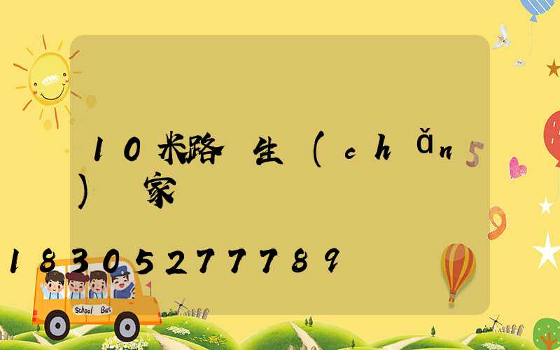 10米路燈生產(chǎn)廠家