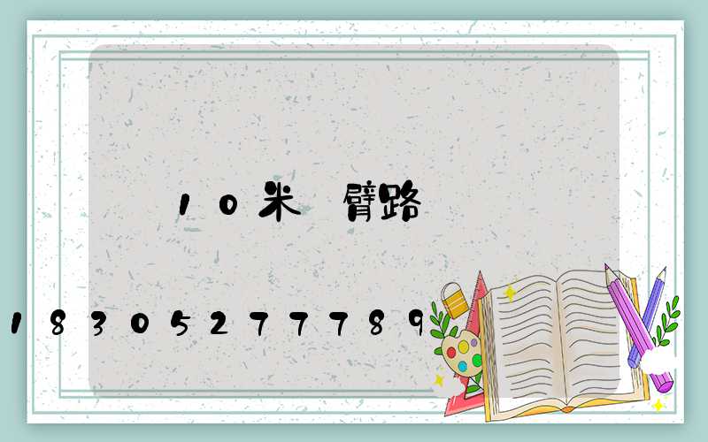 10米雙臂路燈