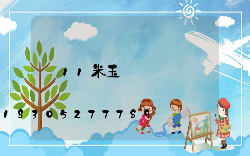 11米玉蘭燈
