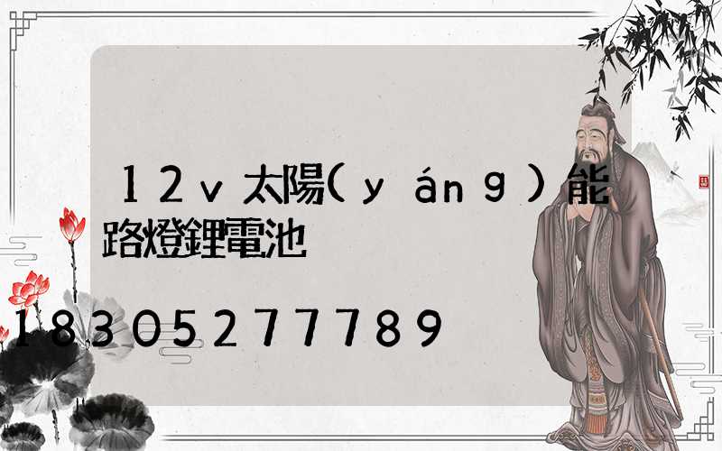 12v太陽(yáng)能路燈鋰電池