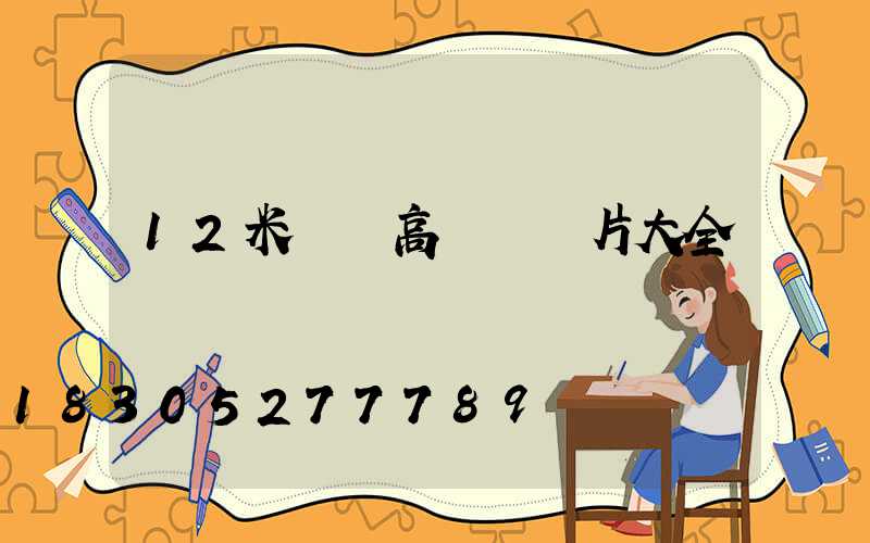 12米廣場高桿燈圖片大全