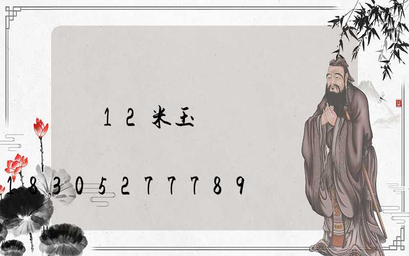 12米玉蘭燈
