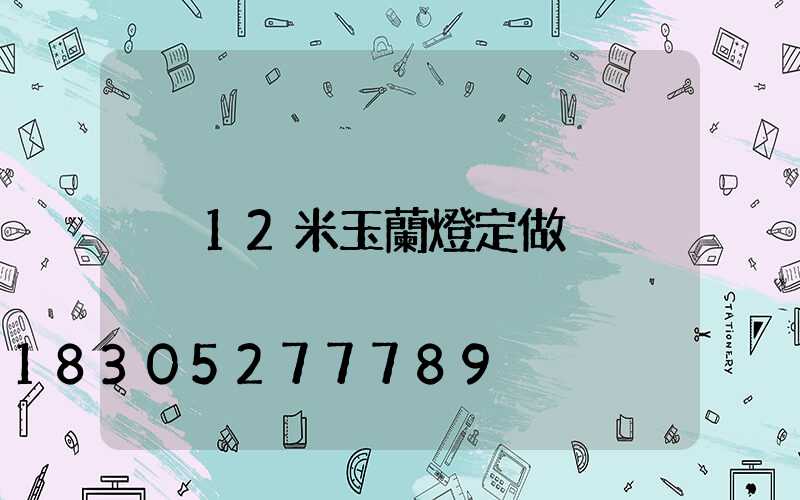 12米玉蘭燈定做