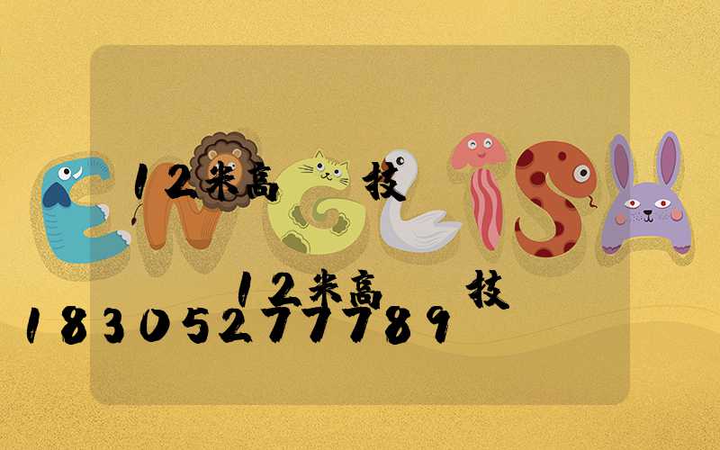 12米高桿燈技術(shù)標(biāo)準(zhǔn)(12米高桿燈技術(shù)標(biāo)準(zhǔn)規(guī)范)