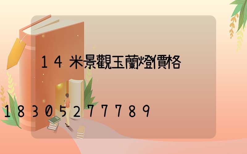 14米景觀玉蘭燈價格