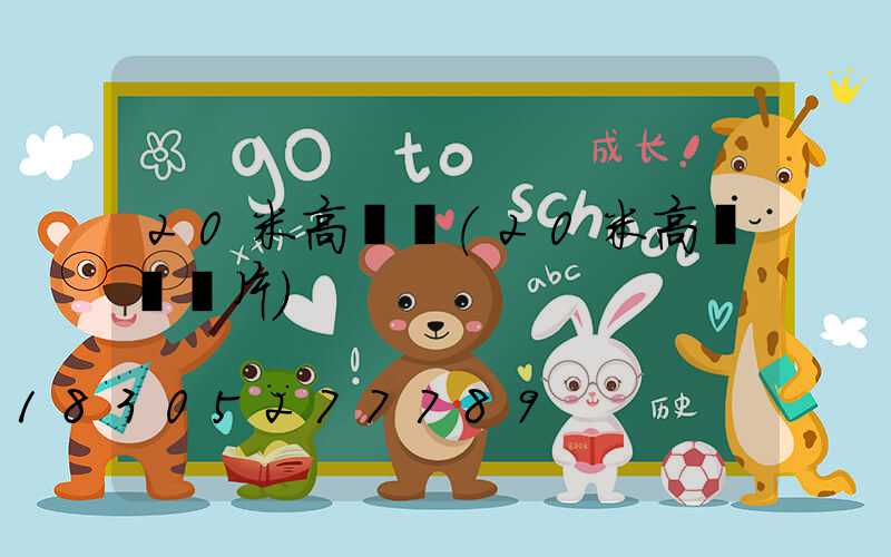 20米高桿燈(20米高桿燈圖片)