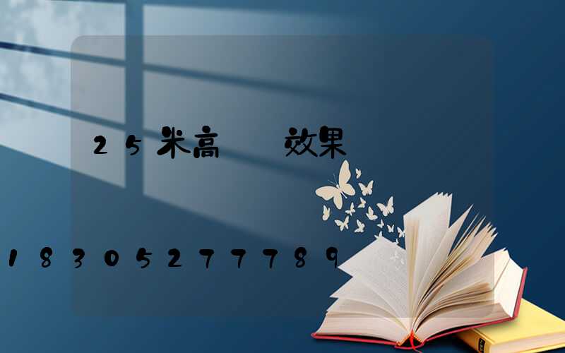 25米高桿燈效果圖