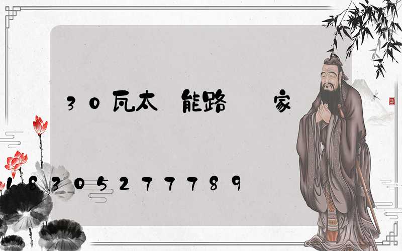 30瓦太陽能路燈廠家