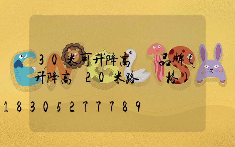 30米可升降高桿燈品牌(升降高桿20米路燈價格)