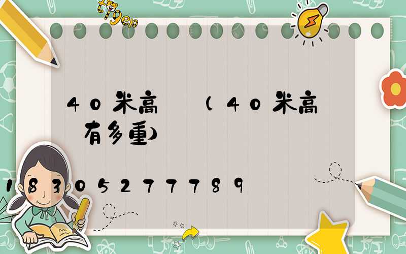 40米高桿燈(40米高桿燈有多重)