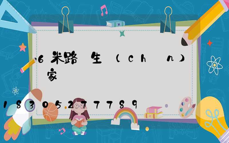 6米路燈生產(chǎn)廠家