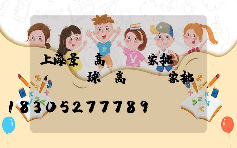 上海景觀高桿燈廠家批發(fā)(球場高桿燈廠家批發(fā))