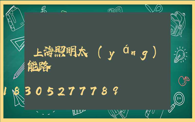 上海照明太陽(yáng)能路燈