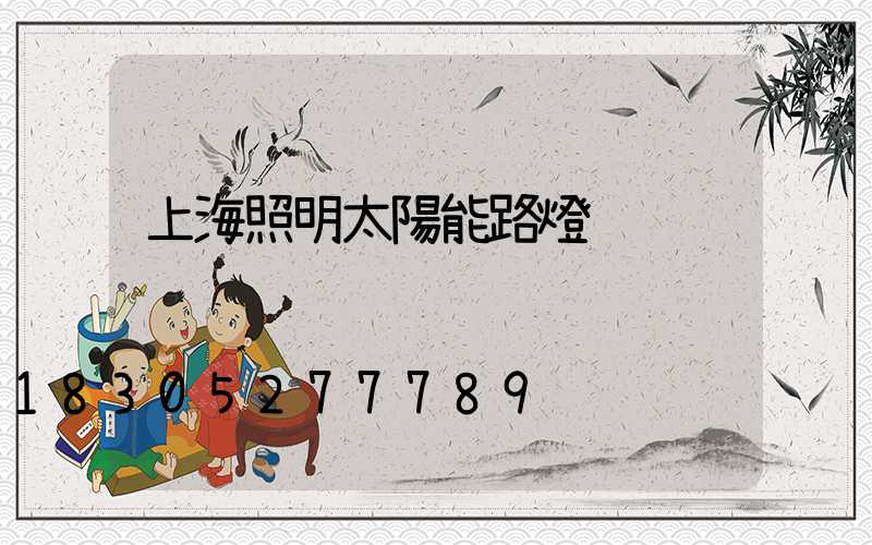 上海照明太陽能路燈