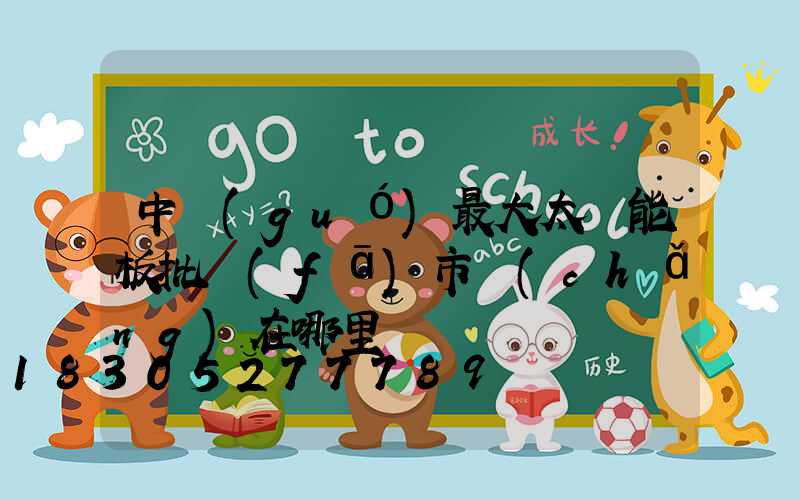 中國(guó)最大太陽能板批發(fā)市場(chǎng)在哪里