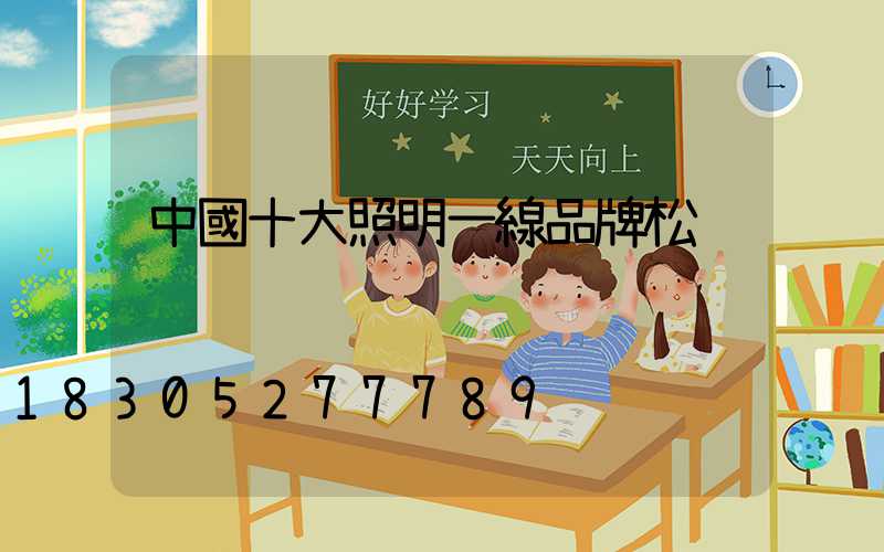 中國十大照明一線品牌松