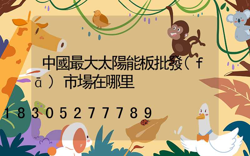 中國最大太陽能板批發(fā)市場在哪里