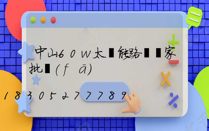 中山60w太陽能路燈廠家批發(fā)