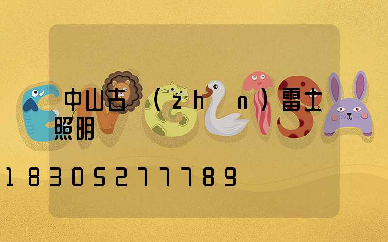 中山古鎮(zhèn)雷士照明