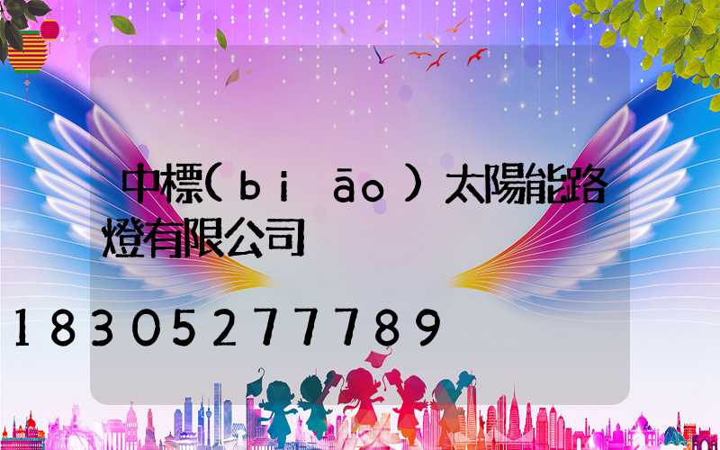 中標(biāo)太陽能路燈有限公司