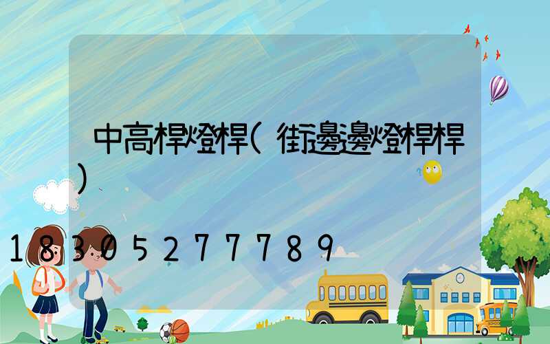 中高桿燈桿(街邊邊燈桿桿)
