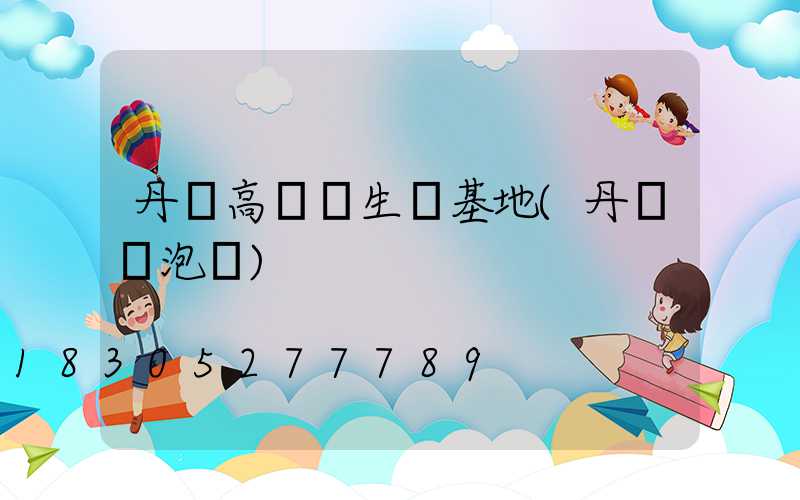 丹陽高桿燈生產基地(丹陽燈泡廠)