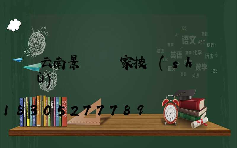 云南景觀燈廠家技術(shù)