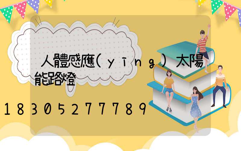 人體感應(yīng)太陽能路燈
