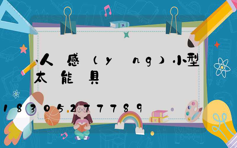 人體感應(yīng)小型太陽能燈具