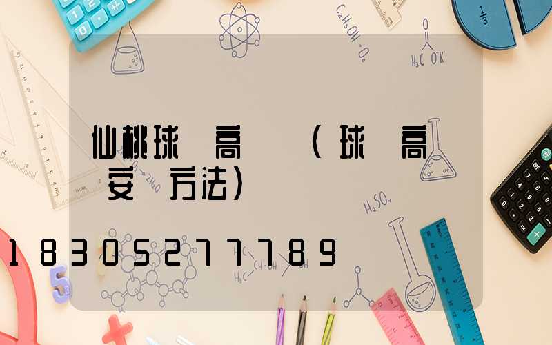 仙桃球場高桿燈(球場高桿燈安裝方法)