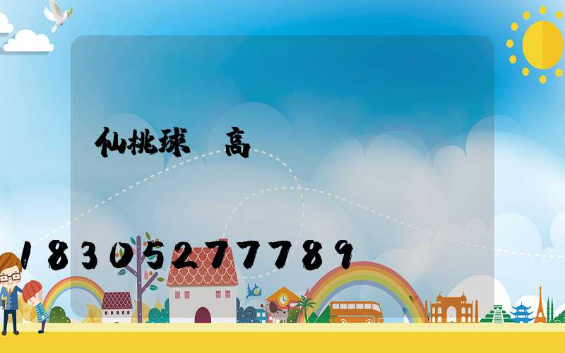 仙桃球場高桿燈