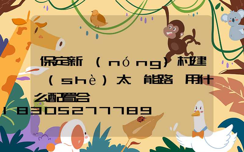 保定新農(nóng)村建設(shè)太陽能路燈用什么配置合適