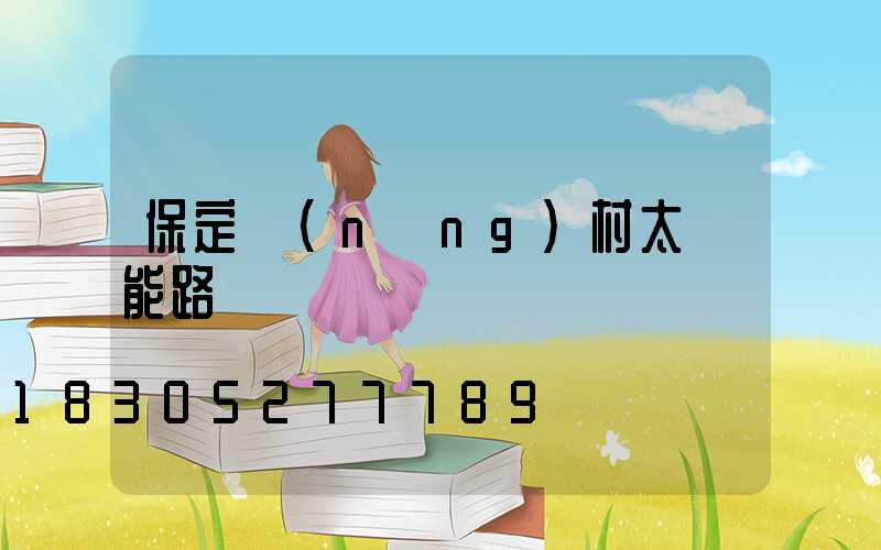 保定農(nóng)村太陽能路燈