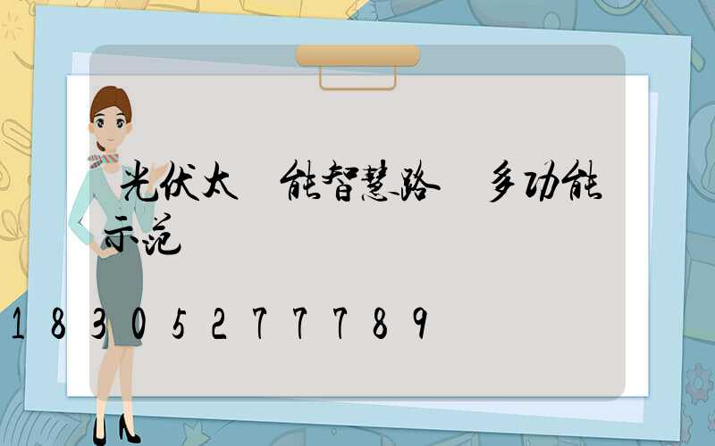 光伏太陽能智慧路燈多功能示范