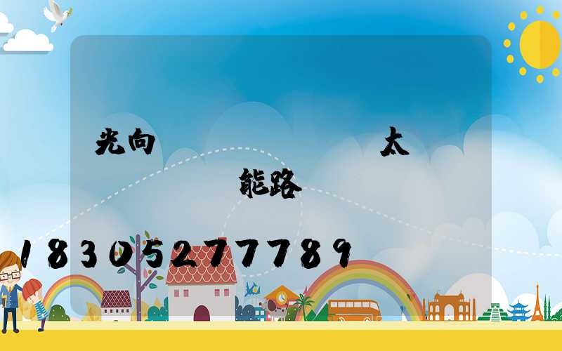 光向標(biāo)太陽(yáng)能路燈