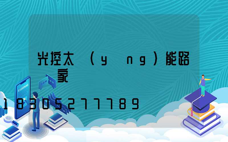 光控太陽(yáng)能路燈廠家