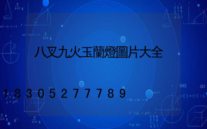 八叉九火玉蘭燈圖片大全