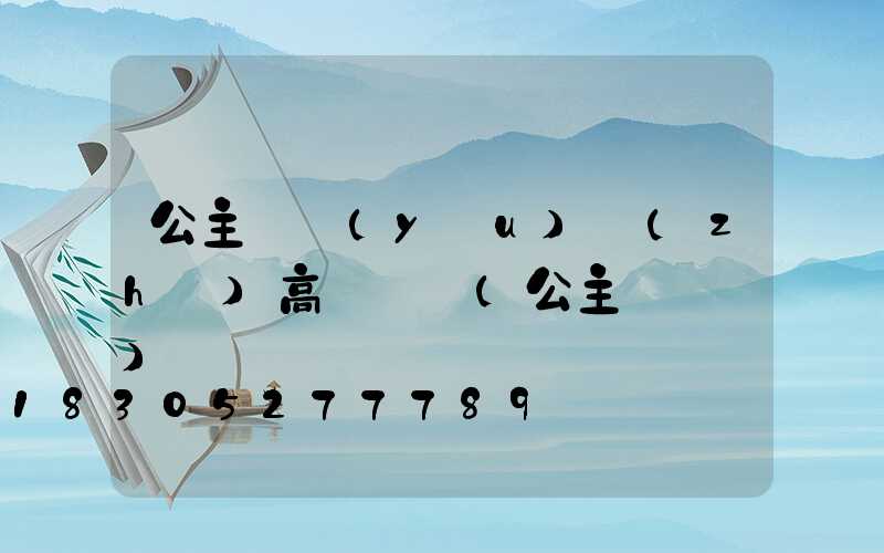 公主嶺優(yōu)質(zhì)高桿燈廠(公主嶺燈會)