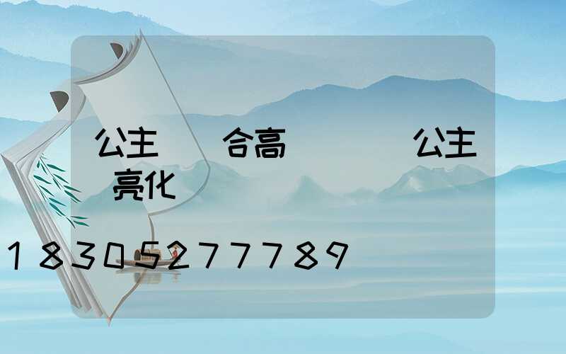 公主嶺組合高桿燈廠(公主嶺亮化)