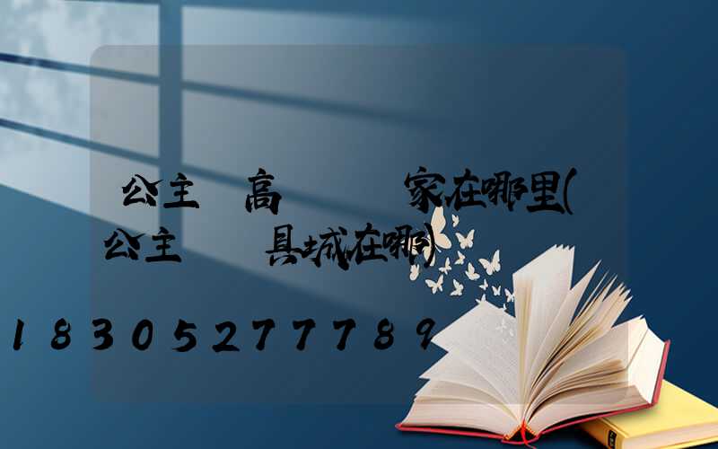 公主嶺高桿燈廠家在哪里(公主嶺燈具城在哪)