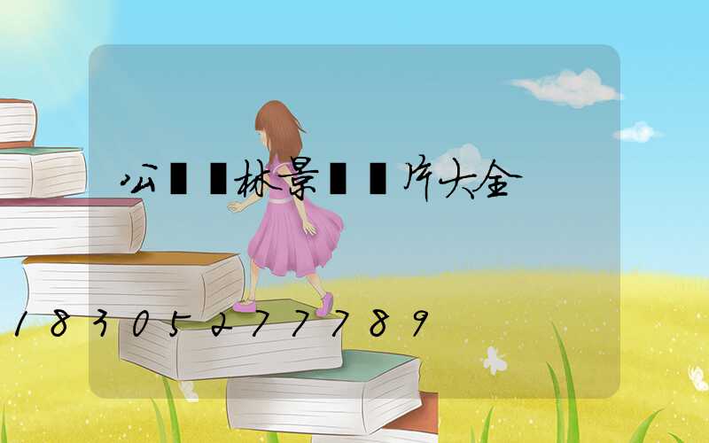 公園園林景觀圖片大全
