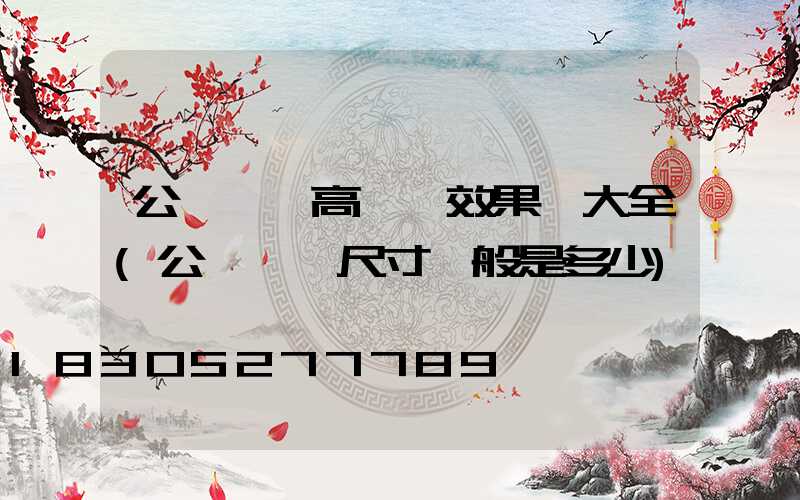 公園廣場高桿燈效果圖大全(公園廣場尺寸一般是多少)