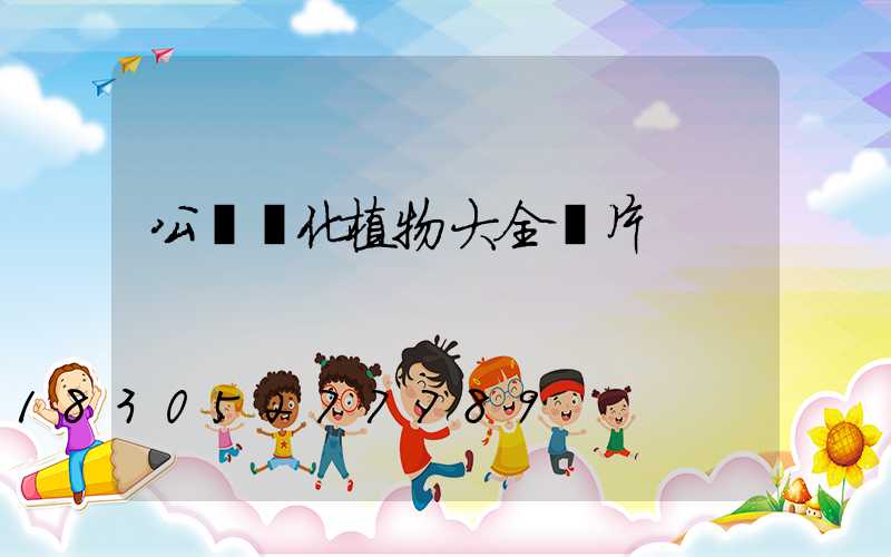 公園綠化植物大全圖片