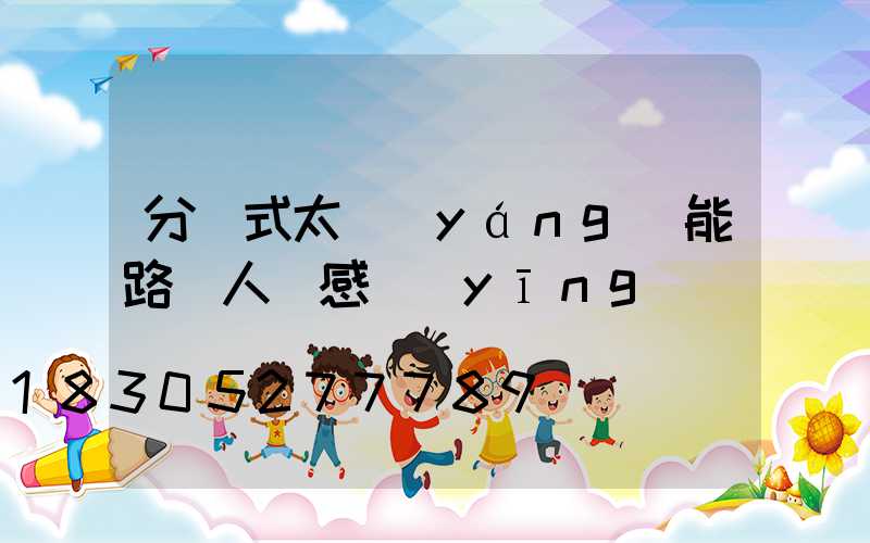 分體式太陽(yáng)能路燈人體感應(yīng)