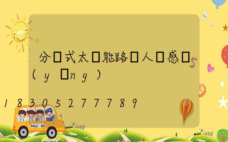 分體式太陽能路燈人體感應(yīng)