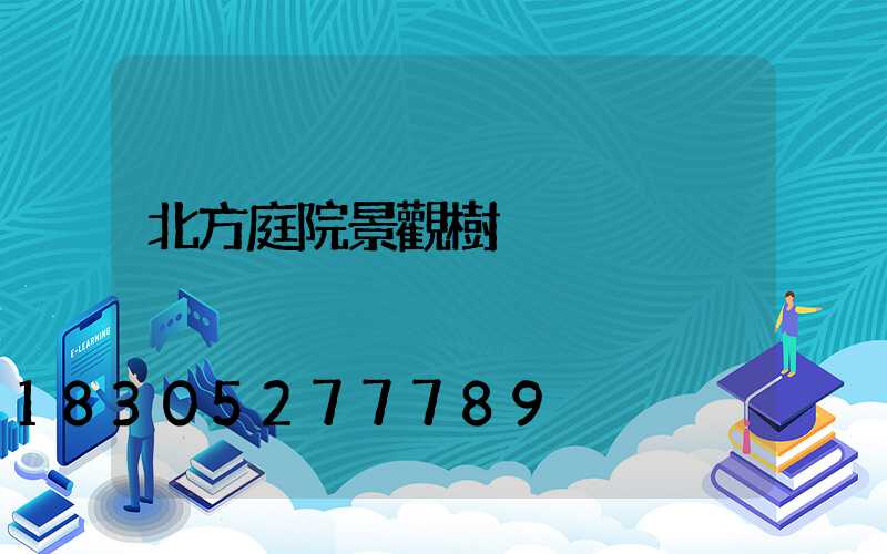 北方庭院景觀樹