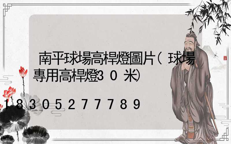 南平球場高桿燈圖片(球場專用高桿燈30米)