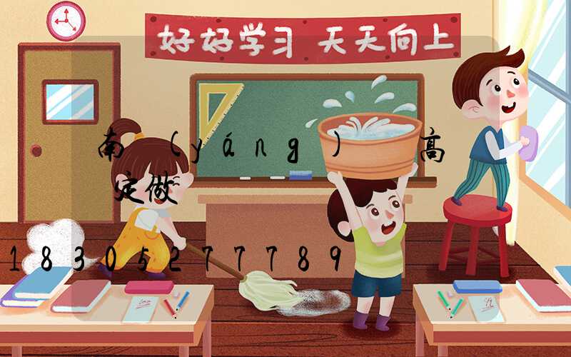 南陽(yáng)碼頭高桿燈定做