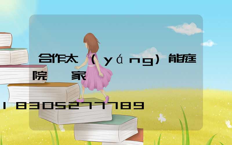 合作太陽(yáng)能庭院燈廠家