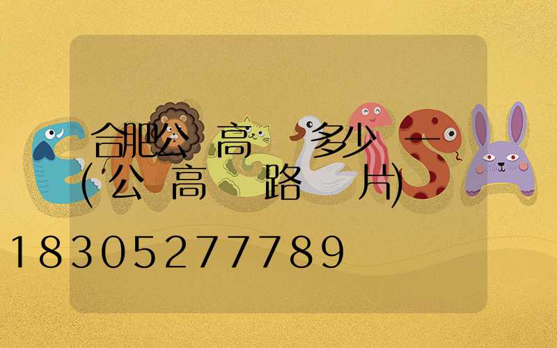 合肥公園高桿燈多少錢一個(公園高桿燈路燈圖片)